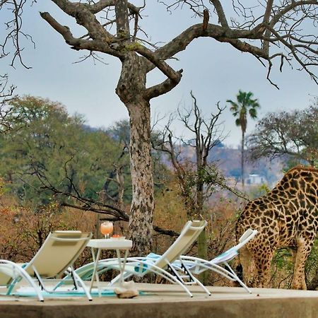 Ngalali Retreat 호텔 Grietjie Game Reserve 외부 사진