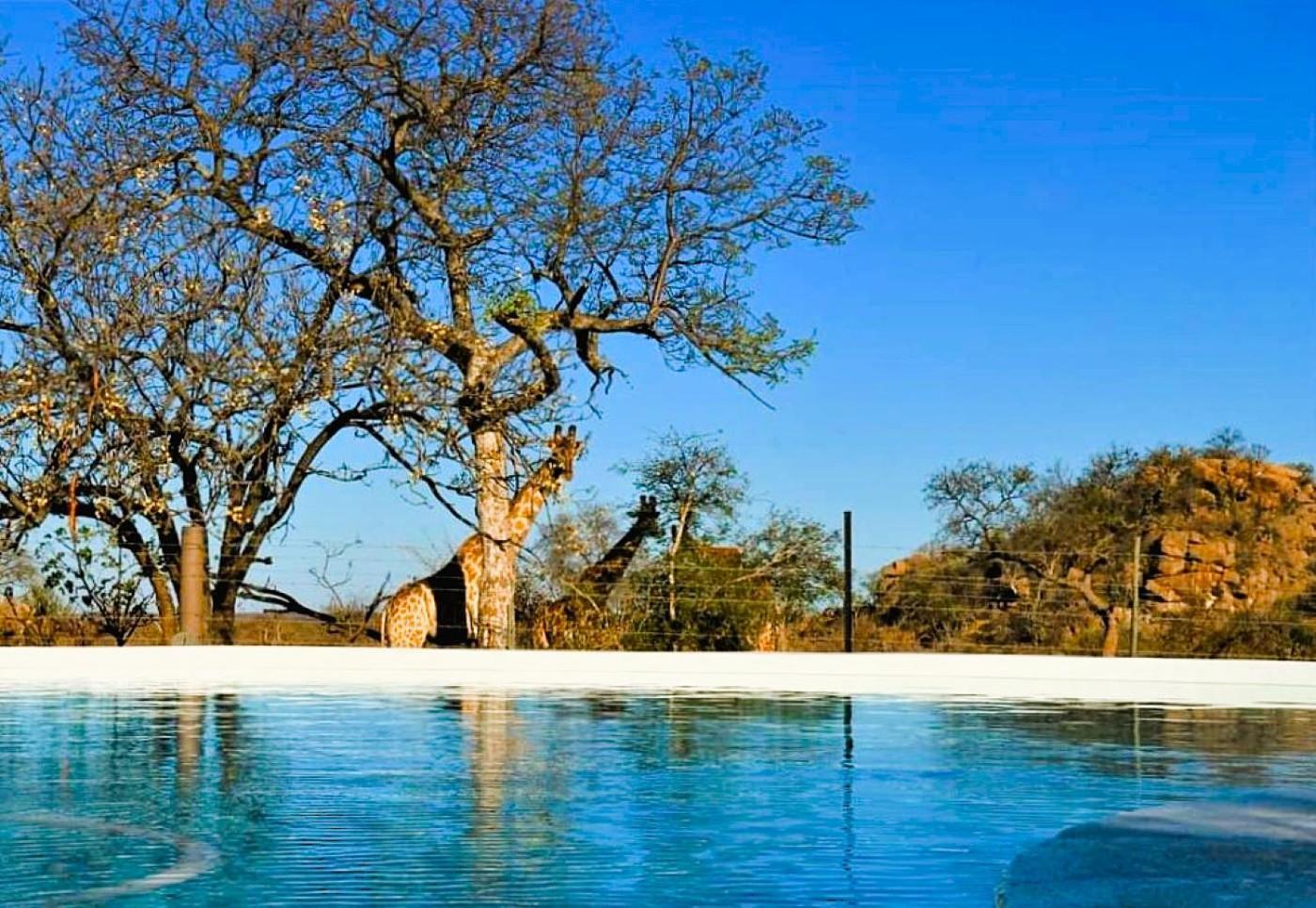 Ngalali Retreat 호텔 Grietjie Game Reserve 외부 사진