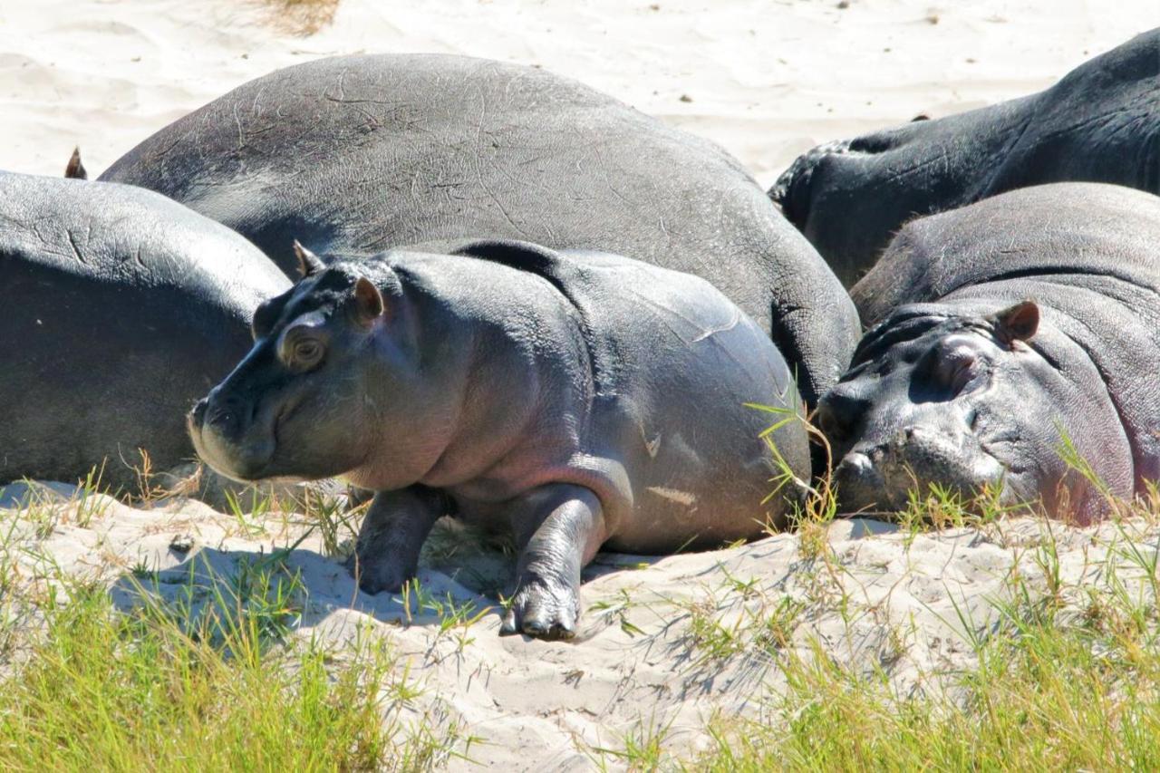 Ngalali Retreat 호텔 Grietjie Game Reserve 외부 사진